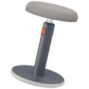 Leitz Ergo Cosy actieve Zit/Sta kruk, grijs