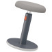 Leitz Ergo Cosy actieve Zit/Sta kruk, grijs