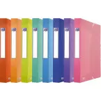 Oxford Urban Plastic Filing Box 24 x 32 cm 4 cm Spine Assorted Transparent Colors