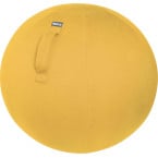 Leitz Ergo Cosy actieve...