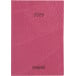 Brepols Delta Lucca Pocket Diary Assorted Colors 2027