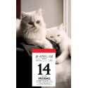 Plaque pour le dos avec photo pour le 'Druivelaar' et le 'Sablier', 2027