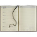 Brepols journal de classe Weekly Notes Essenz, anthracite, 2025-2026