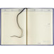 Brepols Bretime Lima Class Journal Black 2026-2027