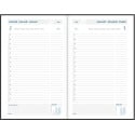 Aurora Daily FA211 Balacron, geassorteerde kleuren, 2027