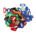 Pavo Assorted Color Keychains, Pack of 100
