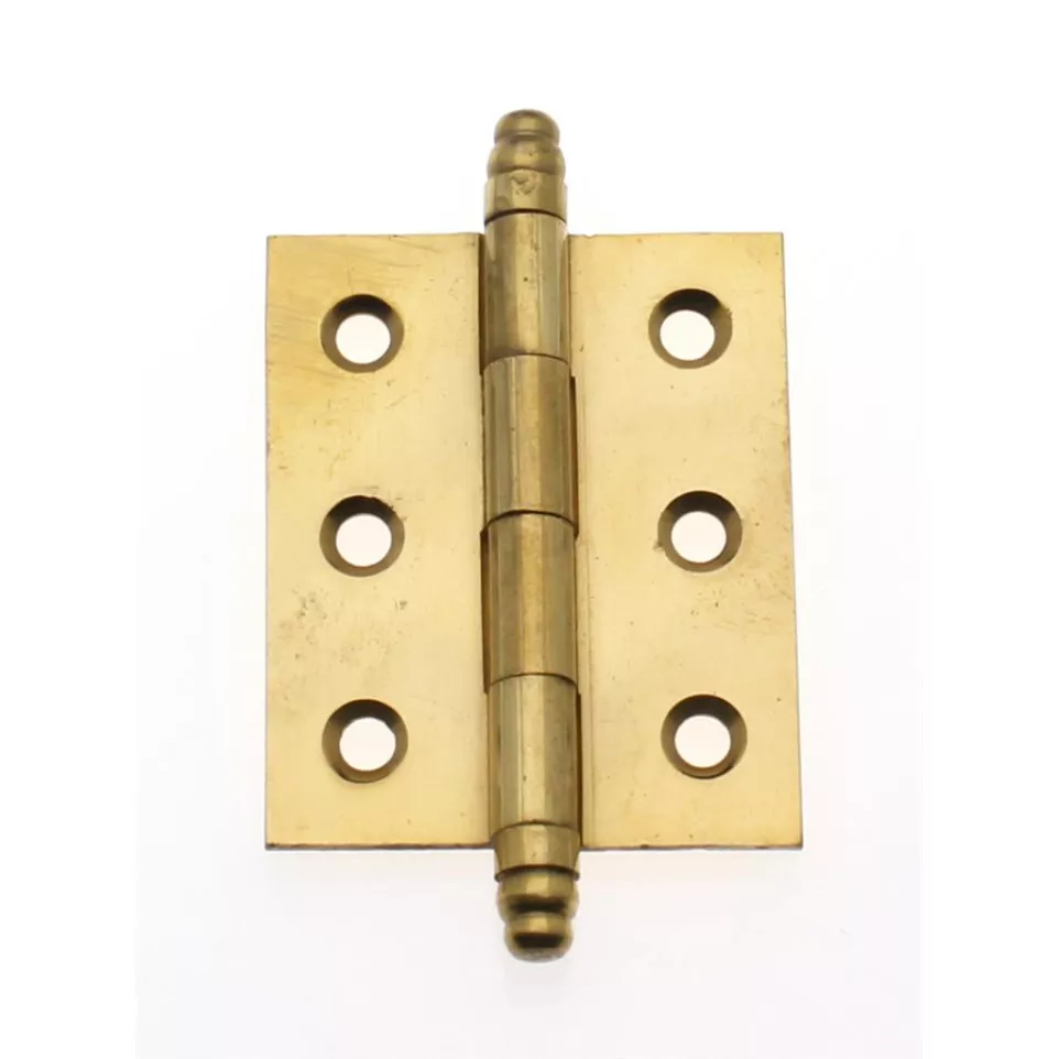 Scharnier 5028 50x40mm gepolijst...
