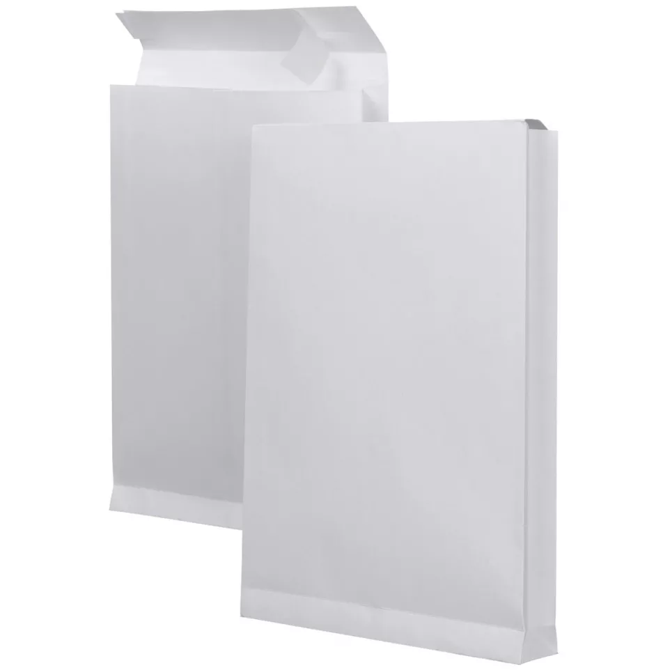 Bong Gusseted Security Envelope 262 x...