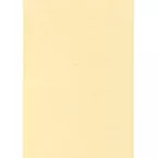 Decadry champagne textured paper, 165 g, pack of 50 sheets