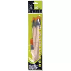 Acrylic Paint Brush Set, 10 Brushes