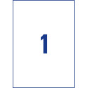 Avery ultra resistente etiketten voor buiten ft 210 x 297 mm (b x h), doos van 10 etiketten