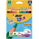 Bic kleurpotlood Ecolutions Evolution Triangle 12 potloden in een kartonnen etui
