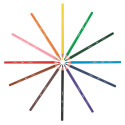 BIC Kids Evolution Ecolutions Colouring Pencils 12 Pack Cardboard Box