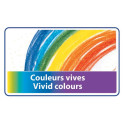 BIC Kids Evolution Ecolutions Colouring Pencils 12 Pack Cardboard Box