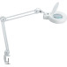 MAULviso LED Magnifying Lamp with Clamp, Arm Length 2x31cm, Lens 144cm², White