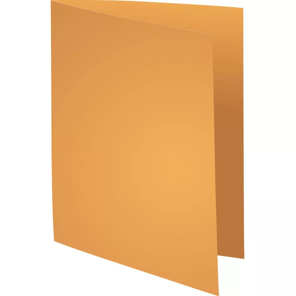 Exacompta Rock's 80 Cardboard File...