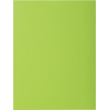 Exacompta chemise de classement Rock's 80, ft 22 x 31 cm, paquet de 100, vert