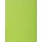 Exacompta Rock's 80 dossiermap, ft 22 x 31 cm, pak van 100, muntgroen