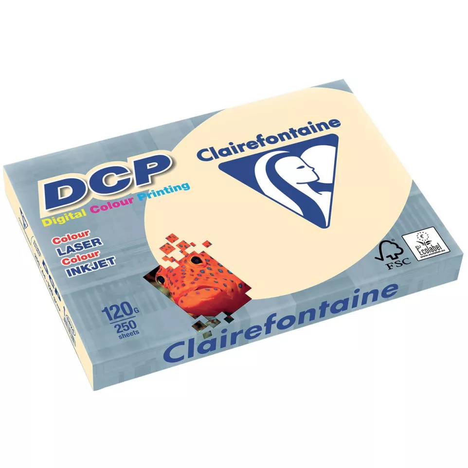 Clairefontaine DCP Presentation Paper...