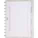 Adoc Colorlines cahier, ft A4, 144 pages,commercieel quadrillé, couleurs assorties