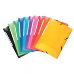 Exacompta Iderama Three Flap Folder with Label Assorted Colours