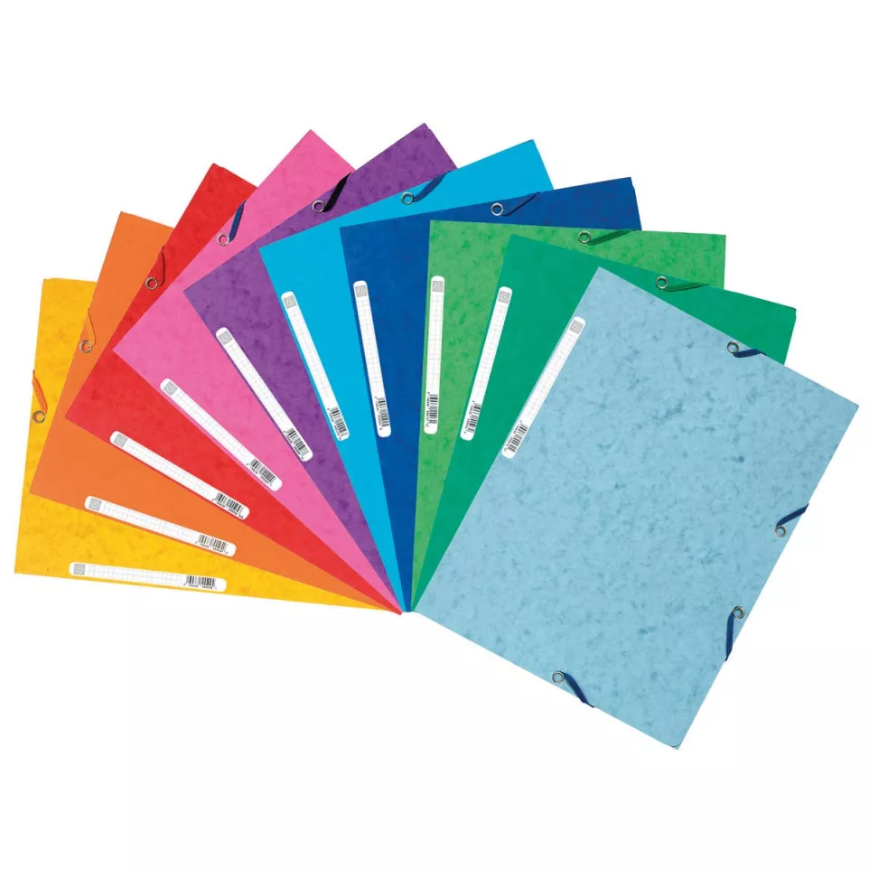 Exacompta A4 3-Flap Folder Assorted...