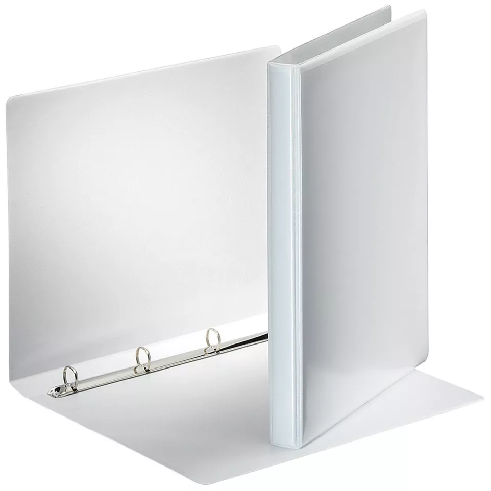 Esselte classeur personnalisable, dos...