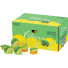 Citrona jus de citron, paquet de 120 capsules de 4,9 ml