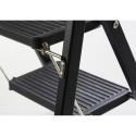 Escabeau compact Giant Total Black 2 marches / pce