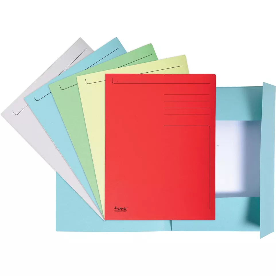 Exacompta Foldyne Cardboard Folder 24...