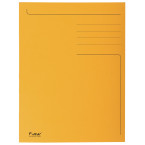 Exacompta Foldyne Card...