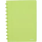 Atoma Trendy A4 Notebook, 144 Lined Pages, Transparent Green, Polypropylene Cover