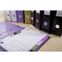 OXFORD MyColour tabbladen, formaat A4, uit gekleurde PP, 11-gaatsperforatie, 6 tabs