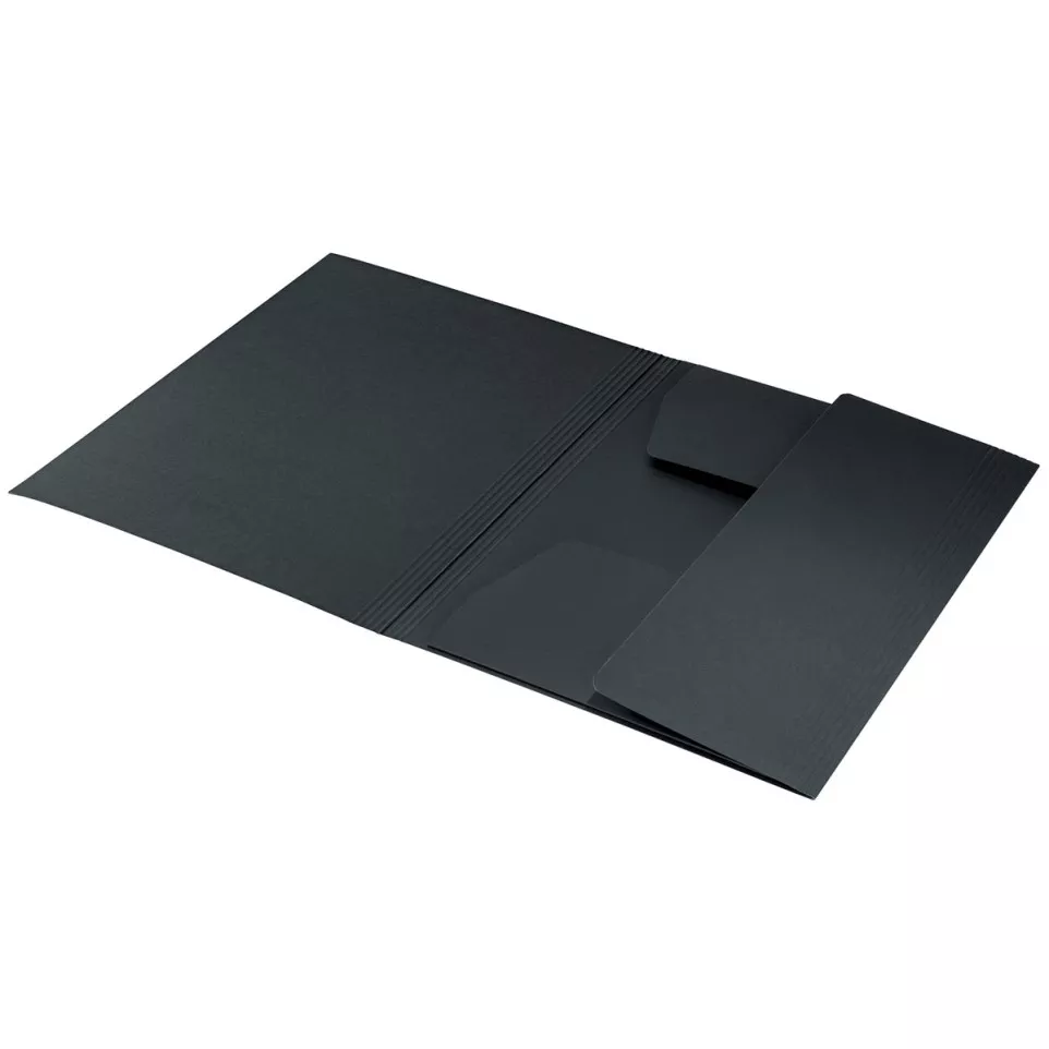 Leitz Recycle elastomap met 3...