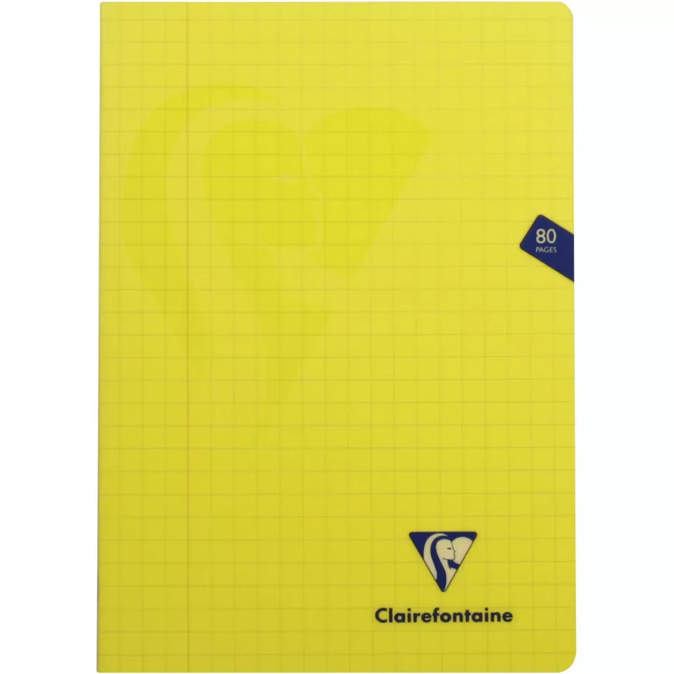 Clairefontaine schrift mimesys voor...