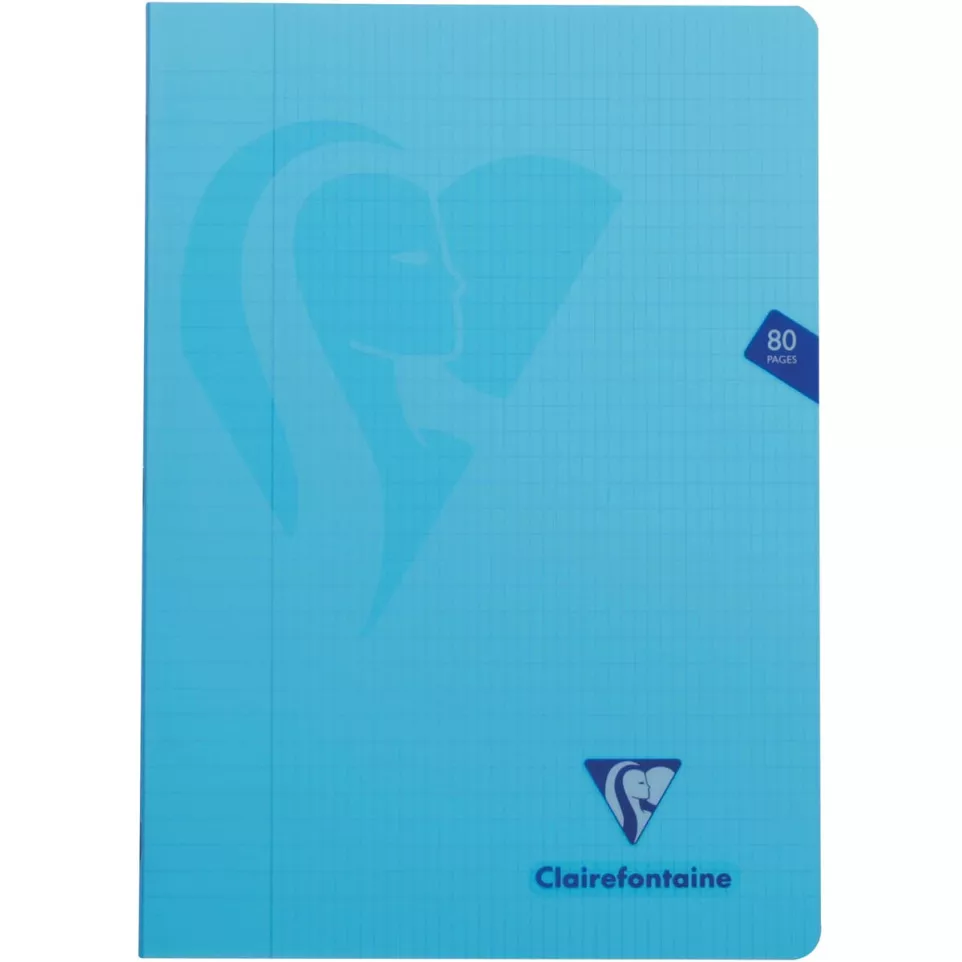 Clairefontaine schrift mimesys voor...