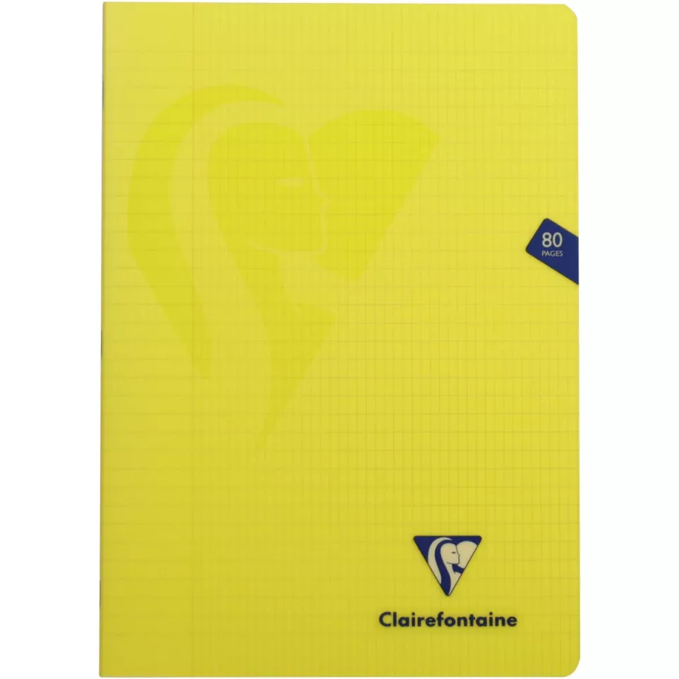 Clairefontaine schrift mimesys voor...