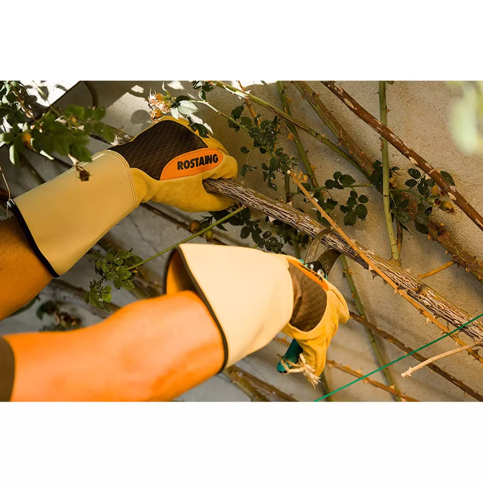 Handschoen voor snoeien en ruimen T10...