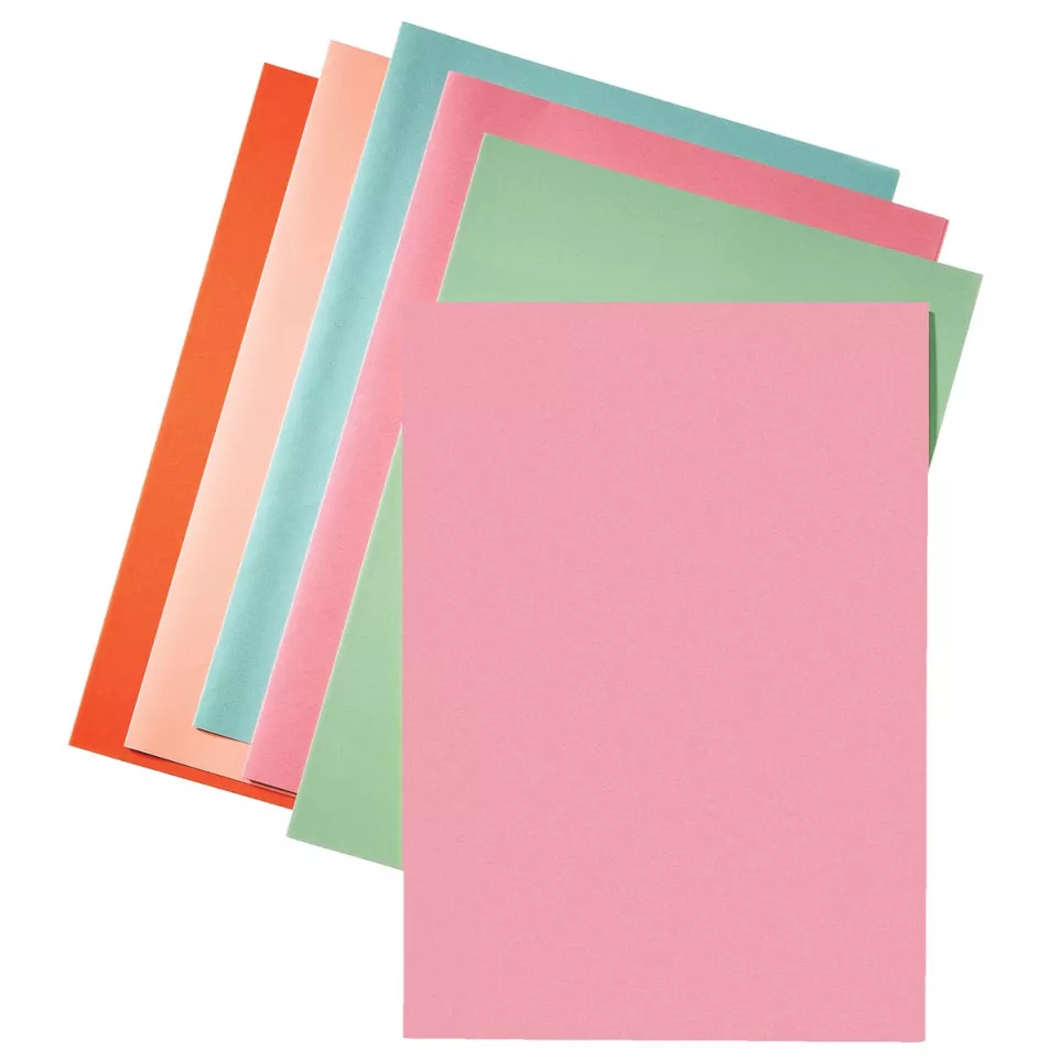 Esselte pink file folder 80 gsm paper...