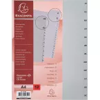 Exacompta intercalaires mensuel A4, en PP, 12 onglets, jan-déc, gris, français