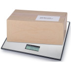MAUL Global Counting Scale...