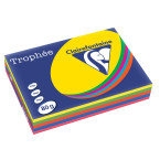Intens Colored Paper Trophy...