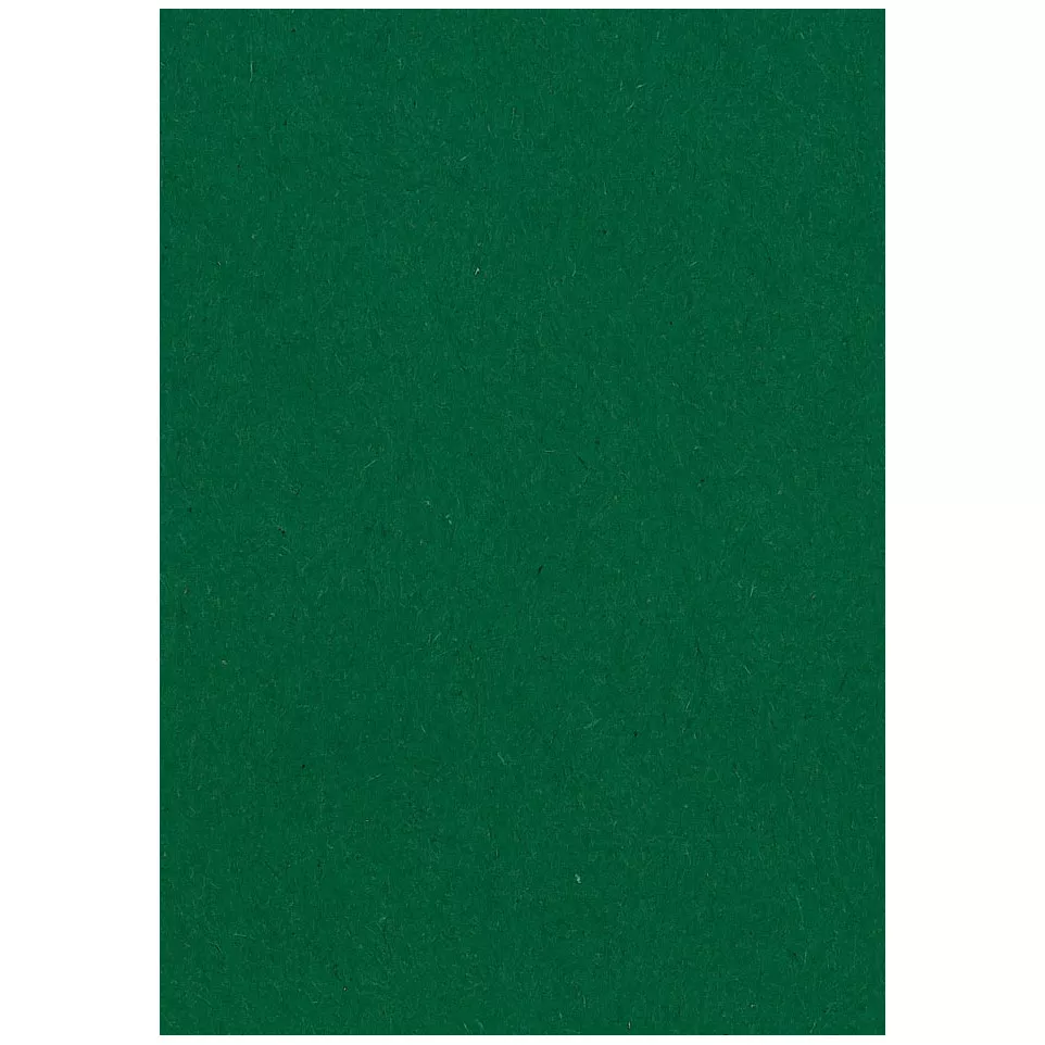 Papier à dessin coloré, 120 g, ft 21...
