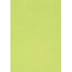 Papier à dessin coloré, 120 g, ft 21 x 29,7, A4, vert clair, paquet de 500 feuilles