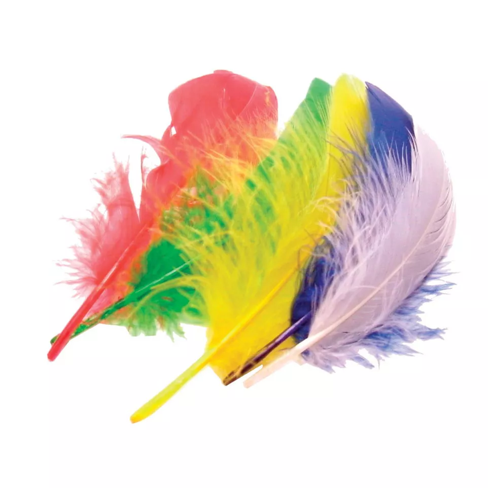 Bouhon craft feathers 15 cm, pack of 50