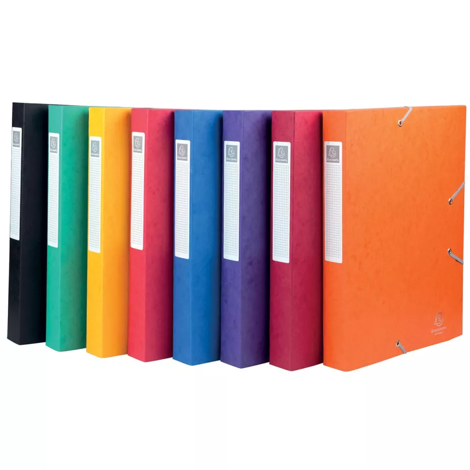 Exacompta Elastobo Cartobox rug van 4...