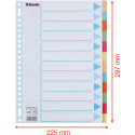 Esselte intercalaires 12 onglets, carton de 275 g/m²