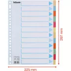 Esselte intercalaires 12 onglets, carton de 275 g/m²
