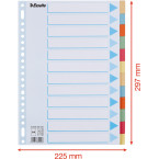 Esselte tabbladen 12 tabs,...
