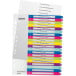 Leitz WOW intercalaires imprimables, 20 onglets